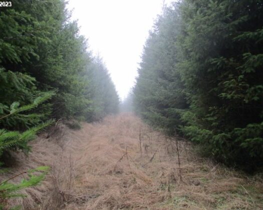 00 Buck Hollow RD, Sheridan, OR 97378