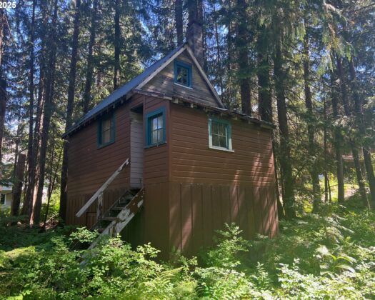 88792 E Government Camp Loop, Government Camp, OR 97028