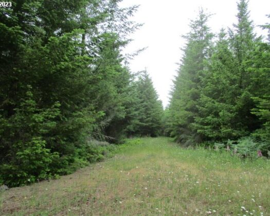 00 Gruber South RD, Estacada, OR 97023
